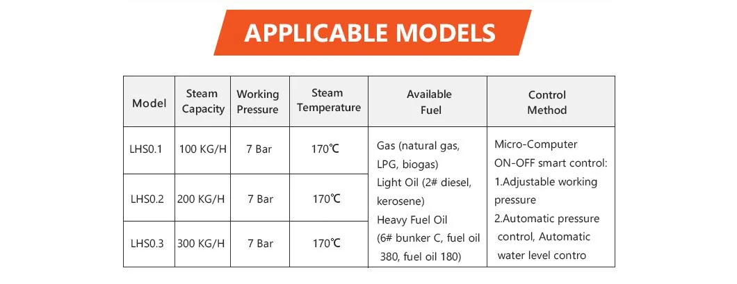 Factory Direct Sales 300 Kg Hr Steam Boiler Gas with Price